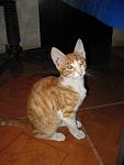     
: IMG_4032.jpg
: 35
:	72.1 
ID:	11941345