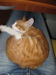     
: IMG_4048.jpg
: 33
:	134.2 
ID:	11941346