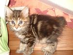     
: DSC02665.JPG
: 17
:	35.1 
ID:	1194476