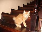     
: DSC02753.JPG
: 55
:	30.9 
ID:	1194520