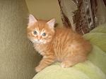     
: DSC02760.JPG
: 44
:	30.2 
ID:	1194526