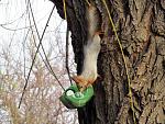     
: IMG_5590.jpg
: 16
:	203.0 
ID:	11946055