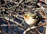     
: IMG_5444.jpg
: 13
:	144.2 
ID:	11946060