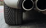     
: 20160312_134659-1.jpg
: 124
:	81.5 
ID:	11947562