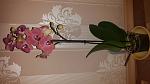     
: 20170313_201208.jpg
: 20
:	68.4 
ID:	11947754
