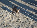     
: DSC01142.jpg
: 24
:	210.8 
ID:	11948585