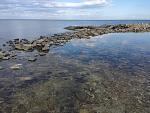     
: IMG_6468.jpg
: 33
:	177.1 
ID:	11948729