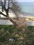     
: IMG_6470.jpg
: 32
:	218.4 
ID:	11948744