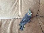     
: IMG_0353.jpg
: 17
:	156.8 
ID:	11950009