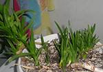     
: DSCN2649.JPG
: 38
:	53.1 
ID:	11950617