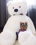     
: IMG_6102.jpg
: 13
:	59.9 
ID:	11952136
