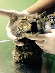     
: PfVNJNdzBEM.jpg
: 17
:	126.2 
ID:	11953396