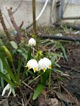     
: P70328-140137-06.jpg
: 9
:	71.5 
ID:	11954890