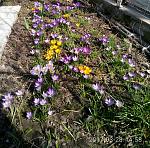     
: P70328-145818(1).jpg
: 14
:	301.9 
ID:	11954899