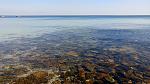     
: DSC_6002.jpg
: 28
:	151.0 
ID:	11955270