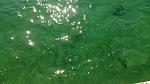     
: DSC_6065.jpg
: 24
:	75.6 
ID:	11955273