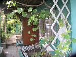     
: IMG_1711.jpg
: 3
:	183.1 
ID:	11956545