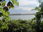     
: IMG_1706.jpg
: 7
:	167.6 
ID:	11956546
