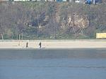     
: DSCN5160.jpg
: 23
:	183.3 
ID:	11957209