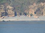     
: DSCN5154.jpg
: 24
:	189.5 
ID:	11957210