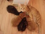     
: DSC0  .JPG
: 26
:	27.2 
ID:	1195791