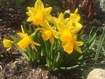     
: IMG_6628.jpg
: 10
:	123.4 
ID:	11959518