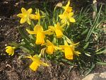     
: IMG_6629.jpg
: 7
:	154.2 
ID:	11959527