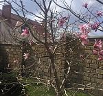     
: IMG_6627.jpg
: 7
:	251.1 
ID:	11959539