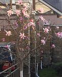     
: IMG_6643.jpg
: 11
:	146.0 
ID:	11963600