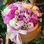     
: image.jpg
: 25
:	129.7 
ID:	11965292