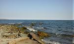     
: 20170402_165921.jpg
: 24
:	115.4 
ID:	11966128