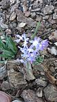     
: IMG_20170403_175615.jpg
: 12
:	142.3 
ID:	11968956