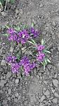     
: IMG_20170403_175507.jpg
: 14
:	170.5 
ID:	11968960