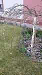     
: IMG_20170403_175411.jpg
: 14
:	179.5 
ID:	11968968