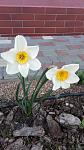     
: IMG_20170403_175314.jpg
: 9
:	97.0 
ID:	11969070