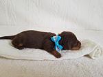     
: 20170326_165554.jpg
: 18
:	104.2 
ID:	11969249