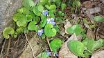     
: IMG_20170329_073634895.jpg
: 7
:	190.0 
ID:	11972186