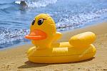     
: depositphotos_3821963-Inflatable-duck.jpg
: 17
:	76.4 
ID:	11972203