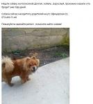     
: FB_IMG_1491371981487.jpg
: 24
:	25.6 
ID:	11972745
