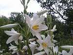     
: 20160612_103734.jpg
: 77
:	170.4 
ID:	11974474