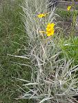     
: 20160612_103805.jpg
: 77
:	230.7 
ID:	11974499