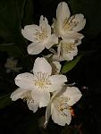     
: 20160610_134200.jpg
: 80
:	57.9 
ID:	11974509