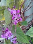     
: 20150923_171021.jpg
: 78
:	104.8 
ID:	11974519