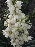     
: 20160618_185321.jpg
: 74
:	105.4 
ID:	11974572