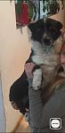     
: IMG_2324.jpg
: 15
:	27.4 
ID:	11976225