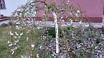     
: IMG_20170406_183053.jpg
: 11
:	217.7 
ID:	11976899