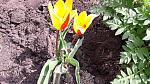     
: 20170406_122609.jpg
: 4
:	242.7 
ID:	11977085