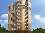     
: images.jpg
: 13
:	9.9 
ID:	11977411