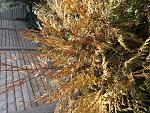     
: 20170406_123318.jpg
: 19
:	307.2 
ID:	11981372