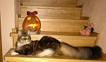     
: ^A15CCF2F960CD9066435CF91CD0927BAD653F324BE286D54C3^pimgpsh_fullsize_distr.jpg
: 11
:	105.0 
ID:	11981778